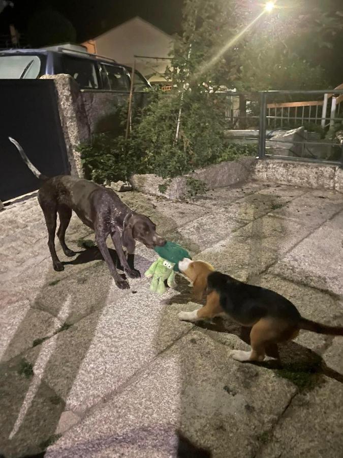 Cabrilhome - Al Geres Cabril  Dış mekan fotoğraf